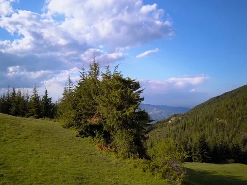 Flying over mountains and forest Stock Footage 75314575