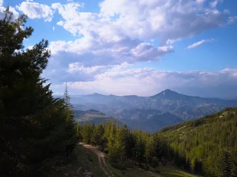 Flying over mountains and forest Stock Footage 75314615