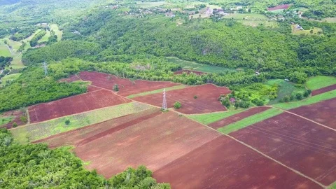 Flying over mountains and partially denuded forest area Stock Footage 78267383
