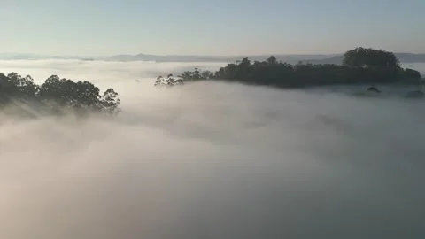 Flying over mountains and woods among dense fog at sunrise. Low clouds. Video stock 253363692