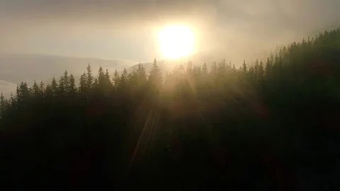 Flying over mountains covered with forest during the sunset. Montenegro location Stock Footage 82241409
