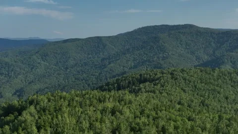 Flying over mountains with dense green forest 1 Stock Footage 255218037