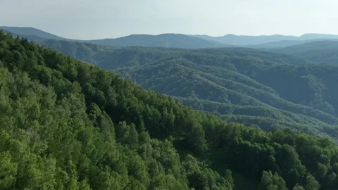 Flying over mountains with dense green forest 2 Stockbeeldmateriaal 255218105