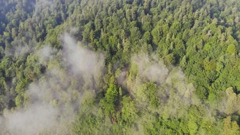Flying over the mountains. Stock Footage 115151113
