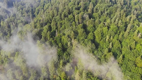 Flying over the mountains. Stock Footage 117887240