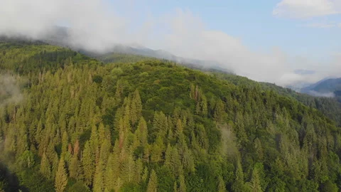 Flying over the mountains. Stock Footage 117887450