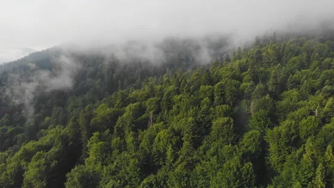 Flying over the mountains. Stock Footage 117887797