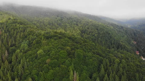 Flying over the mountains. Stock Footage 117888378