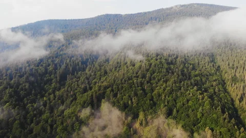 Flying over the mountains. Stock Footage 118821115