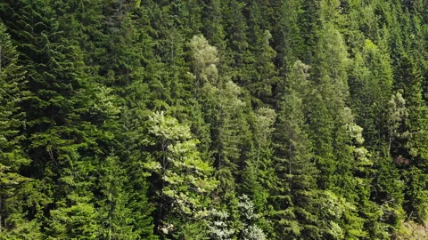 Flying over the mountains. Stock Footage 118823048
