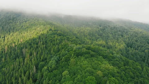 Flying over the mountains. Stock Footage 118823641