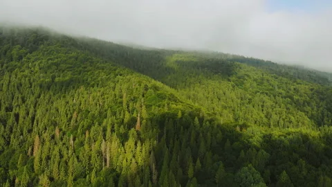 Flying over the mountains. Stock Footage 119790866