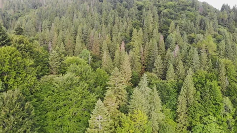Flying over the mountains. Stock Footage 120720772