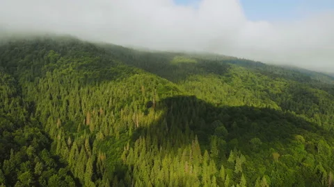 Flying over the mountains. Stock Footage 120720973