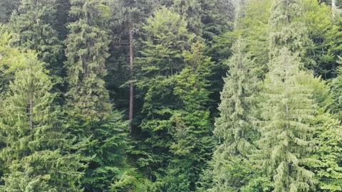 Flying over the mountains. Stock Footage 120721672