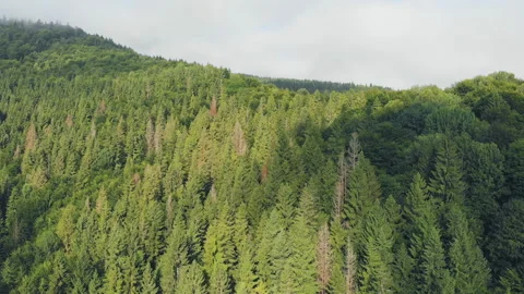 Flying over the mountains. Stock Footage 122024647