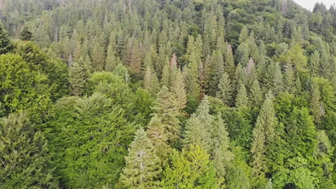 Flying over the mountains. Stock Footage 122501531