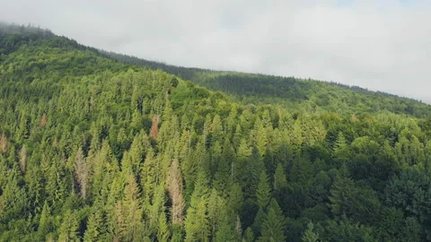 Flying over the mountains. Stock Footage 122501993