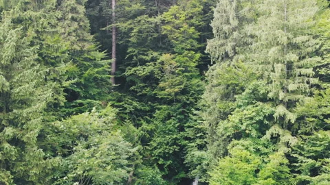 Flying over the mountains. Stock Footage 123201283