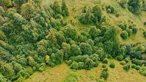 Flying over mountains meadow with trees and roads. Stock Footage 121311305