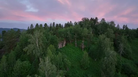 Flying over mountains overgrown with forest at sunset 1 Stock Footage 255218097