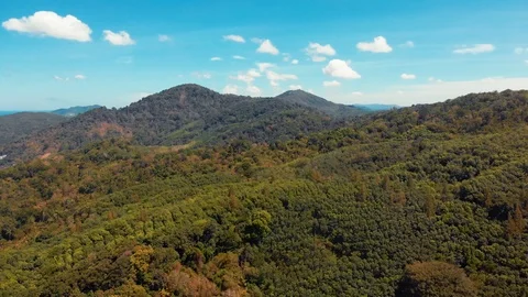 Flying over the mountains of Phuket Stock Footage 125189170