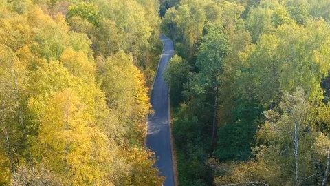 Flying over a multicolored autumn forest Stock Footage 96826859
