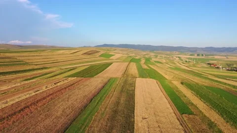 Flying over multicolored patchwork fields lit by warm sunshine, Romania Stock Footage 142498346