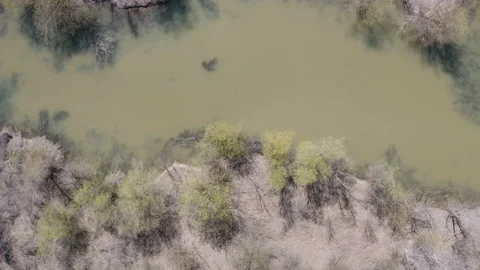 Flying over a murky river in the middle of nowhere Stockbeeldmateriaal 152232887