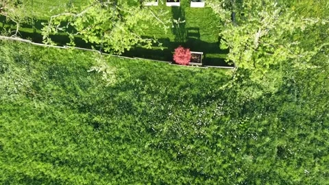 Flying over a nice garden with a drone Stock Footage 194451510