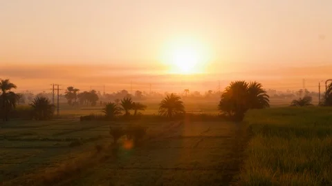 Flying over the Nile fields at the sunrise time in West Luxor, Egypt Stock Footage 96217670