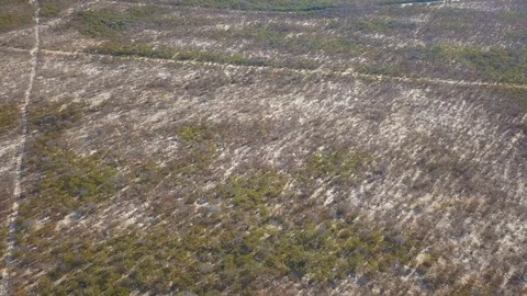 Flying over nondescript sandy scrub land criss crossed by dirt tracks Video stock 80599282