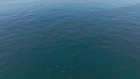 Flying over ocean Stock-Footage 253110529