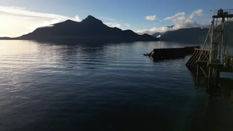 Flying Over Ocean Towards Mountains - Birds Flying Past Cam Stock Footage 269559885