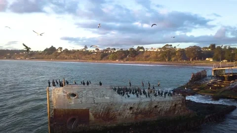 Flying Over an Old Antique Shipwreck with Birds Stock Footage 155314036