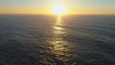 Flying over open ocean at sunset. Seagulls fly against the setting sun over Stock-Footage 125270348