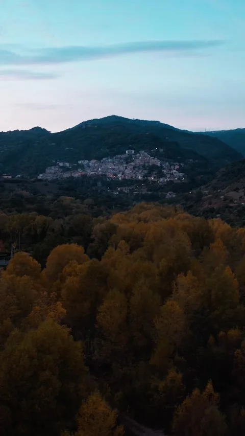 Flying Over The Orange Forest Stock Footage 284151260