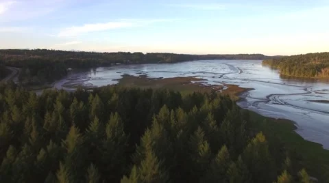 Flying Over a Pacific Northwest Mudflat 库存影片 62493084