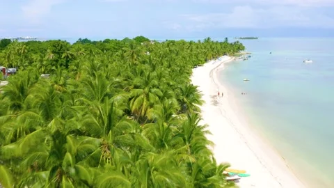 Flying Over Palm Trees and White Sand Beaches in Caribbean Stock Footage 148884822