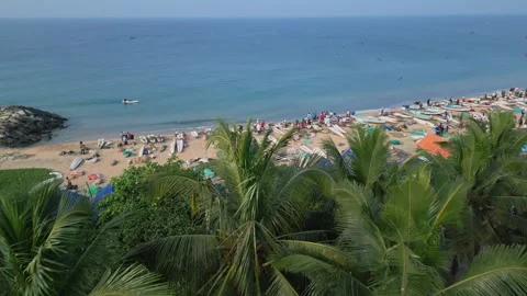 Flying over palm trees overlooking the beach Stock Footage 281845052