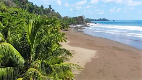 Flying over palm trees towards majestic pristine sandy beach Stock Footage 154345187