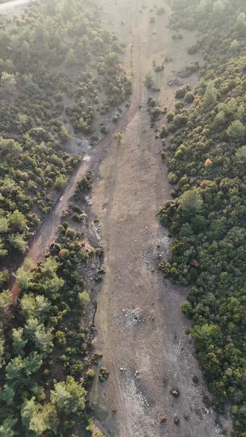 Flying over the Path in the Forest to the Road (Vertical Video) Stock Footage 325224226