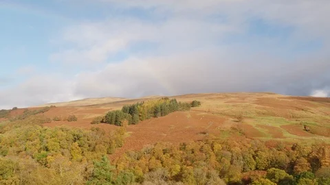 Flying Over a Path of Trees on a Hill and a Faint Rainbow on the Background Video stock 120679248