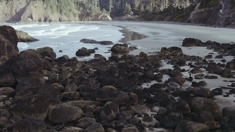 Flying Over Person Running Over Rocks on Beach With Crashing Waves and Trees Stock Footage 102802803