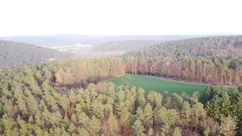 Flying over Pfirschbach forest in Odenwald, Hessen in Germany Video stock 154470698