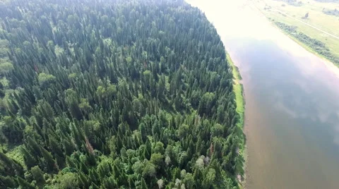 Flying over pine forest along the river Stock-Footage 68277176