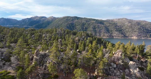 Flying over pine forest with boulders to reveal lake Stock Footage 329903356