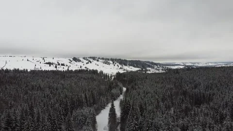 Flying Over Pine Forest During Winter Video stock 167744244