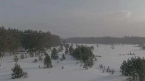 Flying over a pine forest during the blizzard Stock Footage 221605269