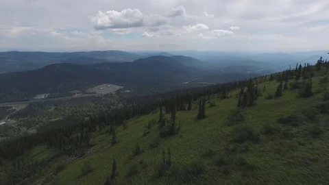 Flying over pine forest on the hillside Stock Footage 71224301